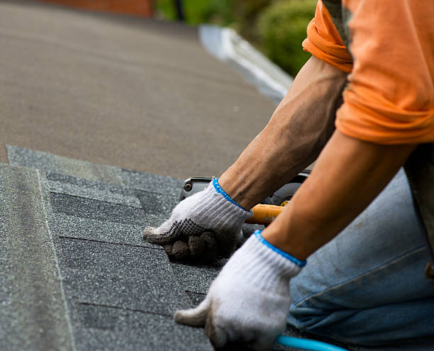 Best Storm Damage Roof Repair  in Lake Bluff, IL